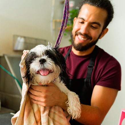 Carlos Rodríguez, veterinario