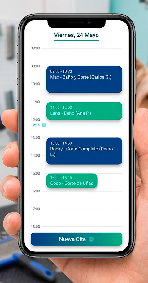 Calendario de citas organizado